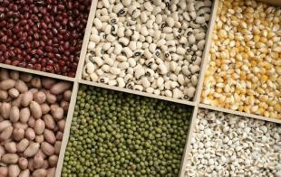 鄭州干果及農(nóng)副產(chǎn)品批發(fā)市場指南——世界工廠網(wǎng)助您精準(zhǔn)對接