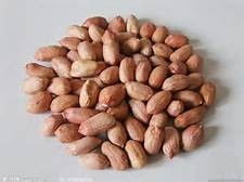 食物營養(yǎng)冠軍榜——干果 小小的能量庫，大大的健康寶