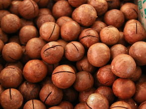 東莞市樟木頭尚品藥材干果行 傳統(tǒng)與現(xiàn)代交融的養(yǎng)生新選擇