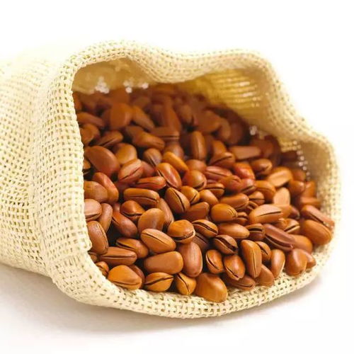 大雪時節(jié)養(yǎng)生，干果助您暖身又滋補(bǔ)